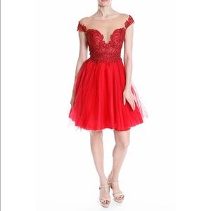 Terani Tulle Lace Jeweled Red Gown